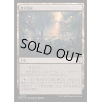 (FOIL)泥干潟村/Mudflat Village《日本語》【BLB】