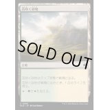 (FOIL)花咲く砂地/Blossoming Sands《日本語》【BLB】