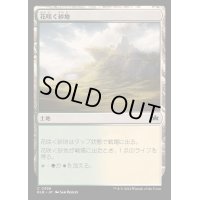 (FOIL)花咲く砂地/Blossoming Sands《日本語》【BLB】