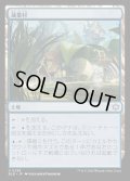 [EX+](FOIL)蓮葉村/Lilypad Village《日本語》【BLB】