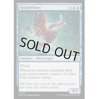 (FOIL)カワセミの騎士/Knightfisher《英語》【BLB】