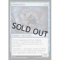 [EX+]精神をかき混ぜる者/Mindwhisker《英語》【BLB】