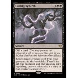 (FOIL)とぐろ巻きの再誕/Coiling Rebirth《英語》【BLB】