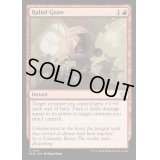 (FOIL)狂気の一齧り/Rabid Gnaw《英語》【BLB】