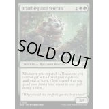 (FOIL)茨守りの古参兵/Brambleguard Veteran《英語》【BLB】