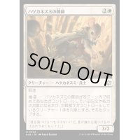 [EX+](FOIL)ハツカネズミの罠師/Mouse Trapper《日本語》【BLB】
