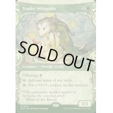 (FOIL)(ショーケース枠)耕作する高原導き/Tender Wildguide《英語》【BLB】