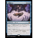 (FOIL)仔狸寝入り/Kitnap《日本語》【BLB】