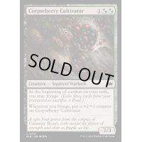 (FOIL)屍苺の耕作者/Corpseberry Cultivator《英語》【BLB】
