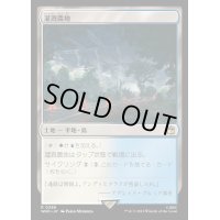 [EX+]灌漑農地/Irrigated Farmland《日本語》【WHO】