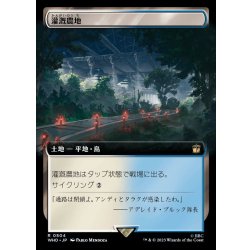 画像1: (フルアート)灌漑農地/Irrigated Farmland《日本語》【WHO】