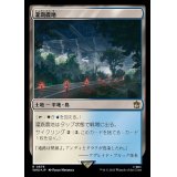 (サージFOIL)灌漑農地/Irrigated Farmland《日本語》【WHO】