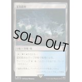 [EX+](サージFOIL)灌漑農地/Irrigated Farmland《日本語》【WHO】