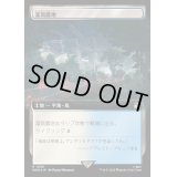 (サージFOIL)(フルアート)灌漑農地/Irrigated Farmland《日本語》【WHO】
