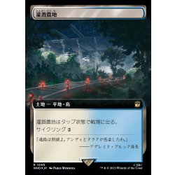 画像1: [EX+](サージFOIL)(フルアート)灌漑農地/Irrigated Farmland《日本語》【WHO】