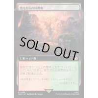 (フルアート)燃えがらの林間地/Cinder Glade《日本語》【WHO】