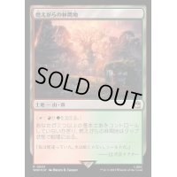 (サージFOIL)燃えがらの林間地/Cinder Glade《日本語》【WHO】