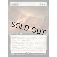 (サージFOIL)(フルアート)結婚指輪/Wedding Ring《日本語》【WHO】