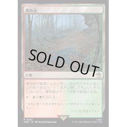 画像1: [EX+](FOIL)獲物道/Game Trail《日本語》【WHO】