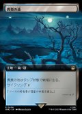 (フルアート)異臭の池/Fetid Pools《日本語》【WHO】