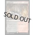 (サージFOIL)竜髑髏の山頂/Dragonskull Summit《日本語》【WHO】
