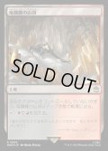 (サージFOIL)竜髑髏の山頂/Dragonskull Summit《日本語》【WHO】