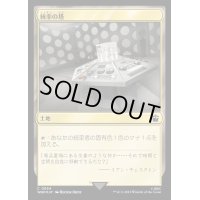 (サージFOIL)(854)統率の塔/Command Tower《日本語》【WHO】