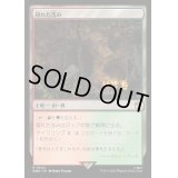 [EX+](FOIL)隠れた茂み/Sheltered Thicket《日本語》【WHO】
