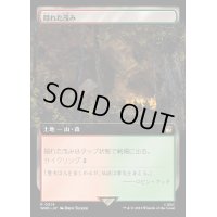 (フルアート)隠れた茂み/Sheltered Thicket《日本語》【WHO】