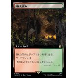 (サージFOIL)(フルアート)隠れた茂み/Sheltered Thicket《日本語》【WHO】
