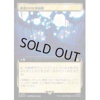 (サージFOIL)(フルアート)風変わりな果樹園/Exotic Orchard《日本語》【WHO】