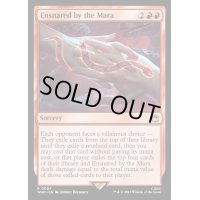 [EX+]マーラによる誘惑/Ensnared by the Mara《英語》【WHO】
