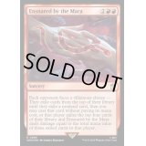 (サージFOIL)マーラによる誘惑/Ensnared by the Mara《英語》【WHO】