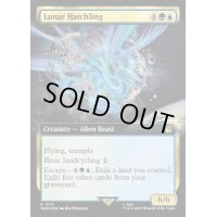 [EX+](サージFOIL)(フルアート)月の雛/Lunar Hatchling《英語》【WHO】