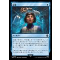 定業/Preordain《日本語》【WHO】