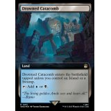 [EX+](サージFOIL)(フルアート)水没した地下墓地/Drowned Catacomb《英語》【WHO】