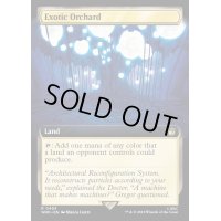 (FOIL)(フルアート)風変わりな果樹園/Exotic Orchard《英語》【WHO】