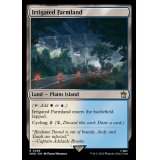 [EX+]灌漑農地/Irrigated Farmland《英語》【WHO】