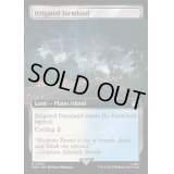 [EX+](フルアート)灌漑農地/Irrigated Farmland《英語》【WHO】