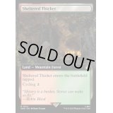 [EX+](フルアート)隠れた茂み/Sheltered Thicket《英語》【WHO】