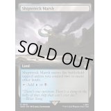 [EX+](フルアート)難破船の湿地/Shipwreck Marsh《英語》【WHO】