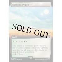 [EX+](フルアート)サングラスの大草原/Sungrass Prairie《英語》【WHO】
