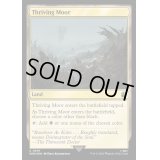 (サージFOIL)興隆する湿地帯/Thriving Moor《英語》【WHO】