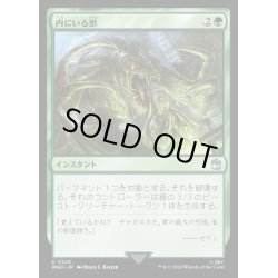 画像1: [EX+](FOIL)内にいる獣/Beast Within《日本語》【WHO】