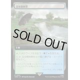 (フルアート)冠水樹林帯/Waterlogged Grove《日本語》【WHO】
