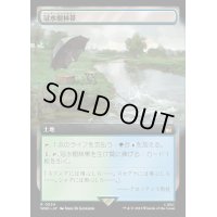 (フルアート)冠水樹林帯/Waterlogged Grove《日本語》【WHO】