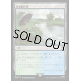 (サージFOIL)冠水樹林帯/Waterlogged Grove《日本語》【WHO】