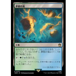 画像1: 夢根の滝/Dreamroot Cascade《日本語》【WHO】