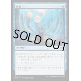 思案/Ponder《日本語》【DSC】
