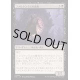 ファルケンラスの貴族/Falkenrath Noble《日本語》【DSC】